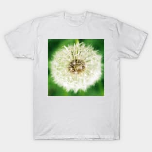 Dandelion Sparkle T-Shirt